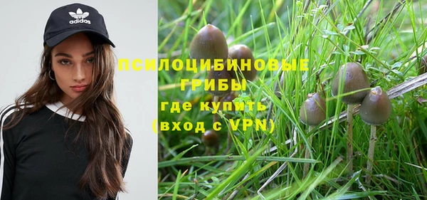 дурь Алексеевка