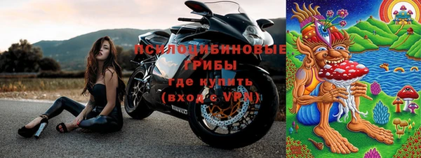 мдпв Протвино