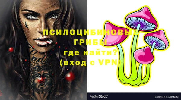 дурь Алексеевка