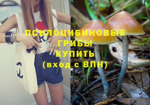 Альфа ПВП Алексин